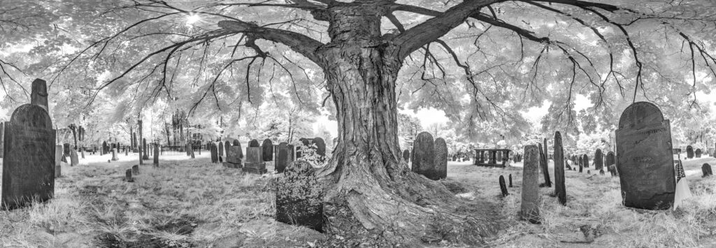 The Old Burying Ground Infrared Cropped